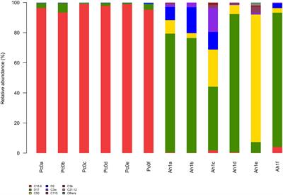 Improper Diving Behavior Affects Physiological Responses of Acropora hyacinthus and Porites cylindrica